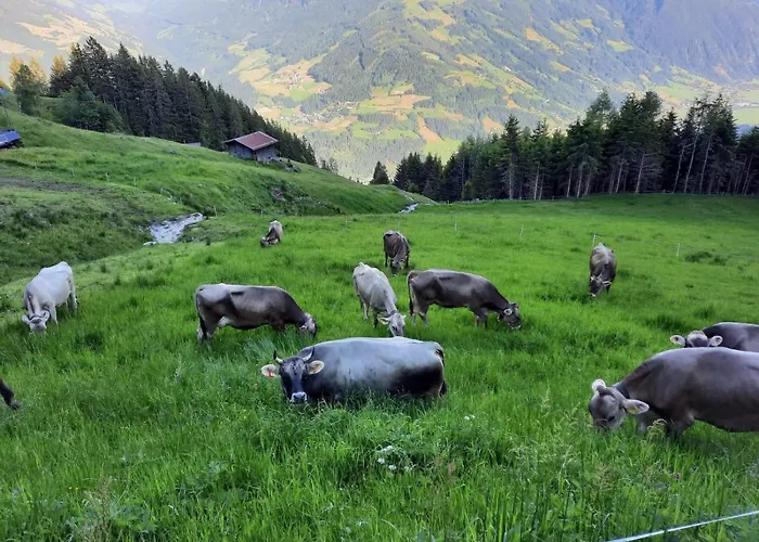 Stoecklerhof Zell am Ziller