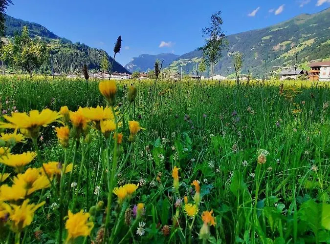 Stoecklerhof Zell am Ziller