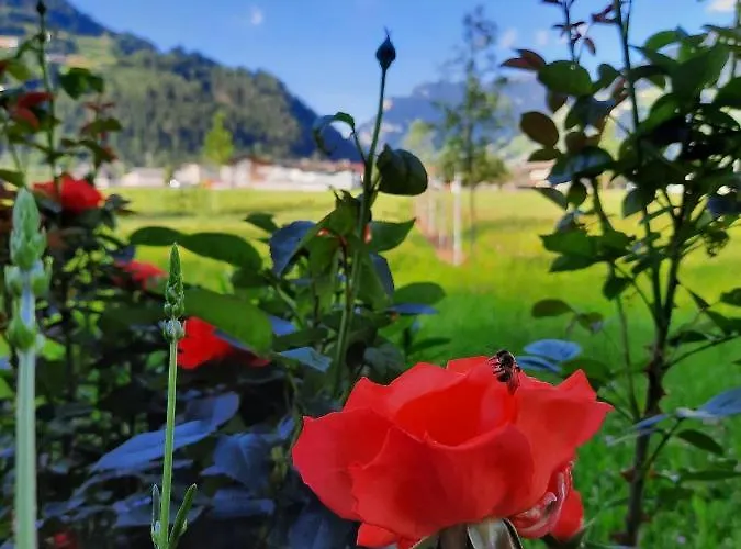 Appartement Stoecklerhof