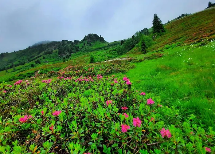 Stoecklerhof Zell am Ziller