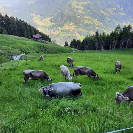 Stoecklerhof Zell am Ziller