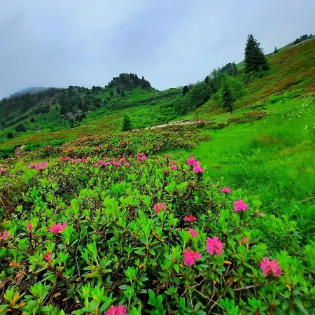 Stoecklerhof Zell am Ziller